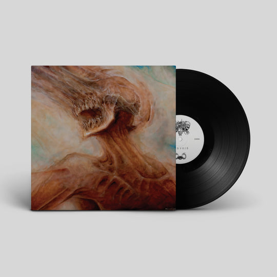 Ecdysis Horrendous Dark Descent Records