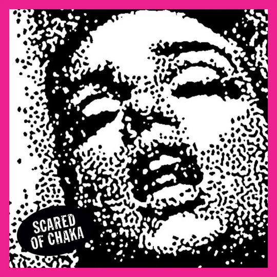 Scared of Chaka レコード パンク ガレージ レア盤 【公式通販】
