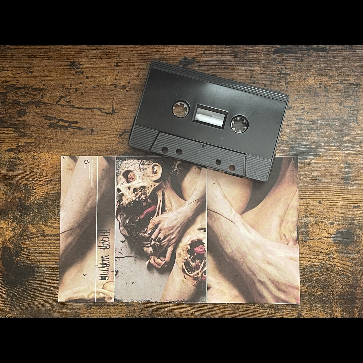 Rigor Mortis | Phantasm Nocturnes | Machine Tribe Distribution