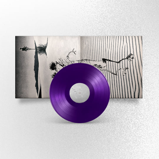 g*2様 Bardo Pond Bardo alvarius レコード Album Review: Bardo Pond - Bufo Alvarius (Re-issue) / Releases