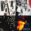 Succes De Scandale | The New Blockaders | advaita records