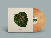 Merch | Quantic
