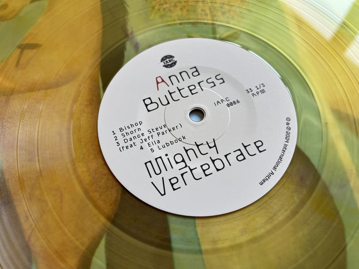 LP Anna Butterss Mighty Vertebrate IARC0086 International Anthem 未開封 /00260 Mighty Vertebrate | Anna Butterss | International Anthem