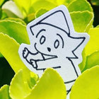 PODO & HOUSE FAIRY thumbnail