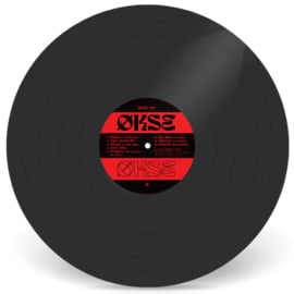 12" Vinyl, image 3