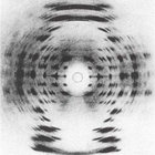 benadryl hallucination thumbnail
