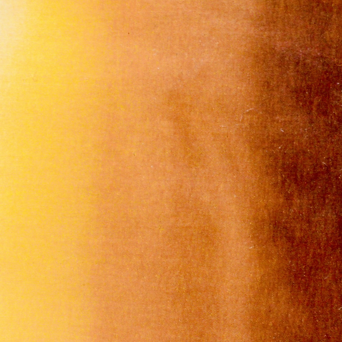 Moon Trees by the Lake