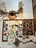 Moose Lodge photo