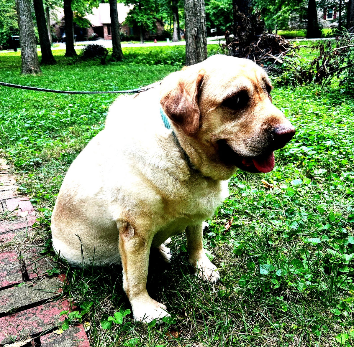 QKLM vs. dethcoremagi QKLM