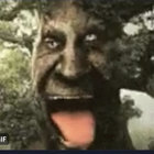 j thumbnail