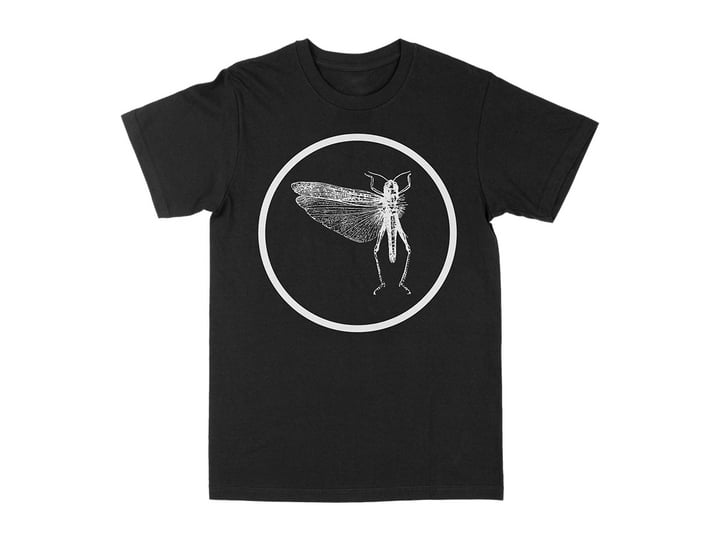 Safety Second, Body Last | The Locust Safety Second, Body Last | The Locust
