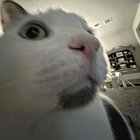 invertrity thumbnail