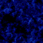 ADOY CATNIP レコード 2025年最新】adoy レコードの人気アイテム - メルカリ