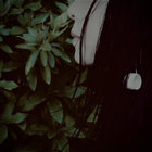 Pale Bloom | Sarah Davachi