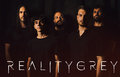 REALITY GREY image