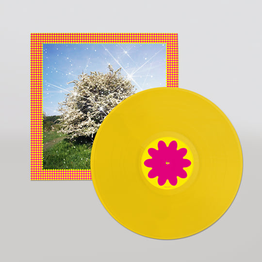 Honey LP – Caribou