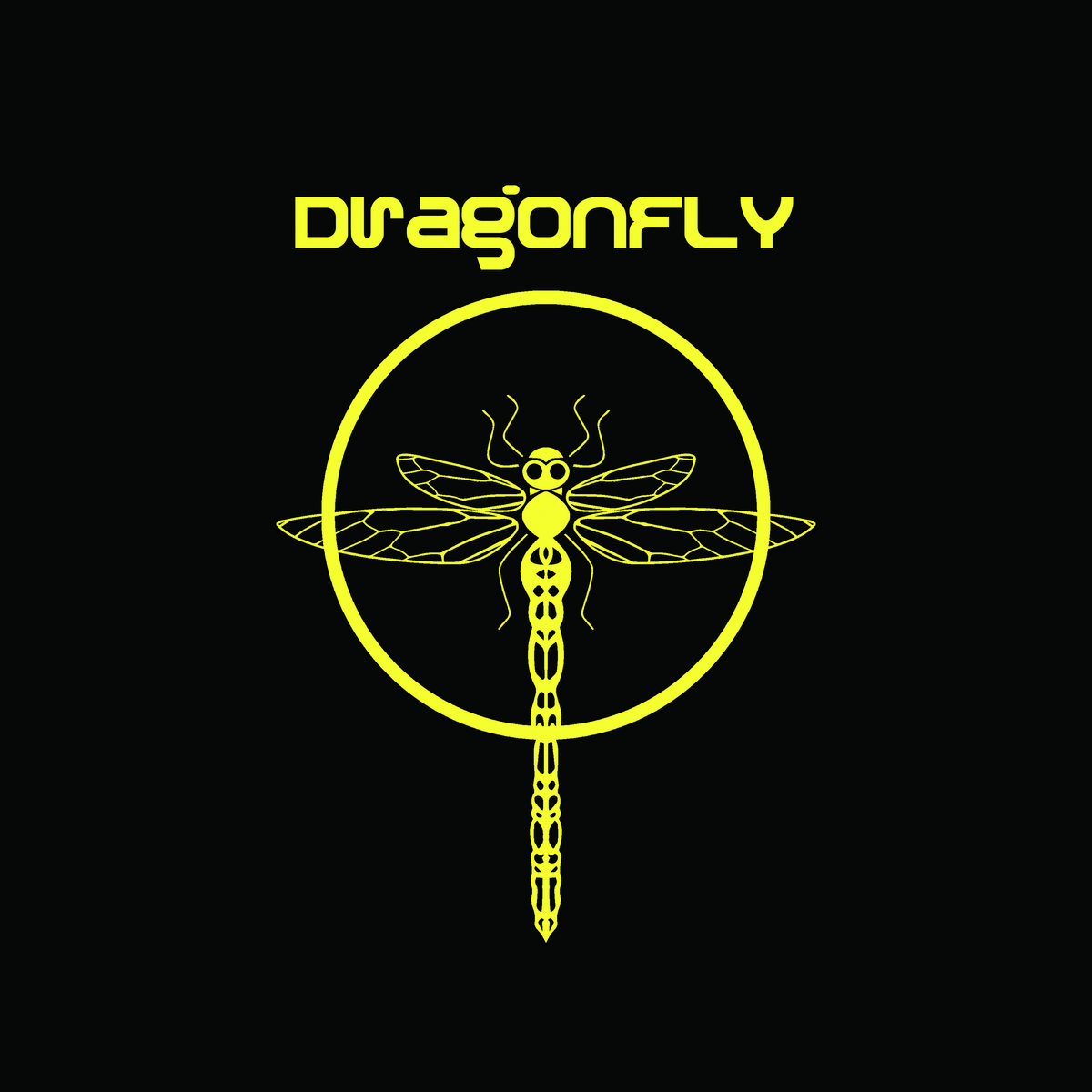 【GOA】DRAGONFLY ORDER ODONATA 1996 Order Odonata • Experiments That Identify Change.. – 2 x