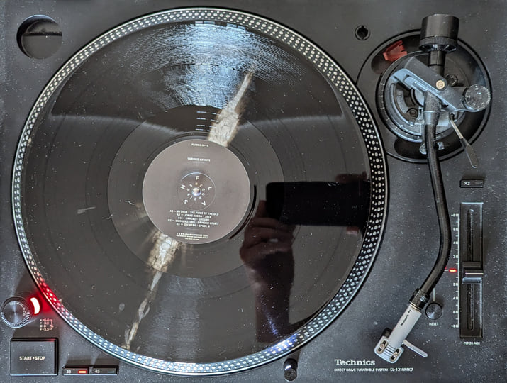 洋楽 Collected Songs of My Temporar/Schlampet Collected Songs of My Temporar / Schlampetziger：LPレコード