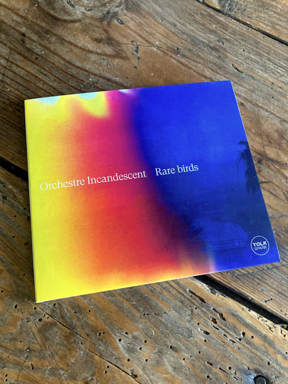 超希少激レアBirds and Buildings CD まとめ RARE BIRDS | Sylvaine Hélary & Orchestre Incandescent | Yolk Records