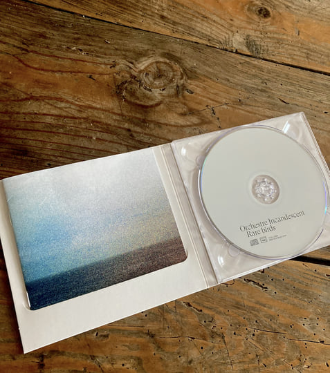 RARE BIRDS | Sylvaine Hélary & Orchestre Incandescent | Yolk Records