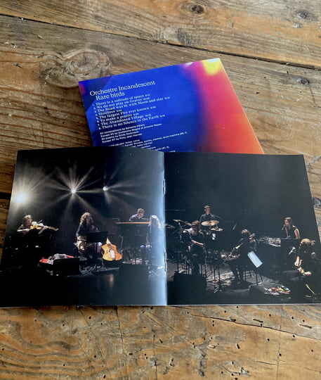 RARE BIRDS | Sylvaine Hélary & Orchestre Incandescent | Yolk Records