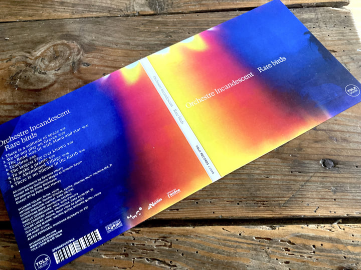 RARE BIRDS | Sylvaine Hélary & Orchestre Incandescent | Yolk Records