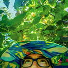 flishfun thumbnail