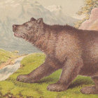 ursa_major thumbnail