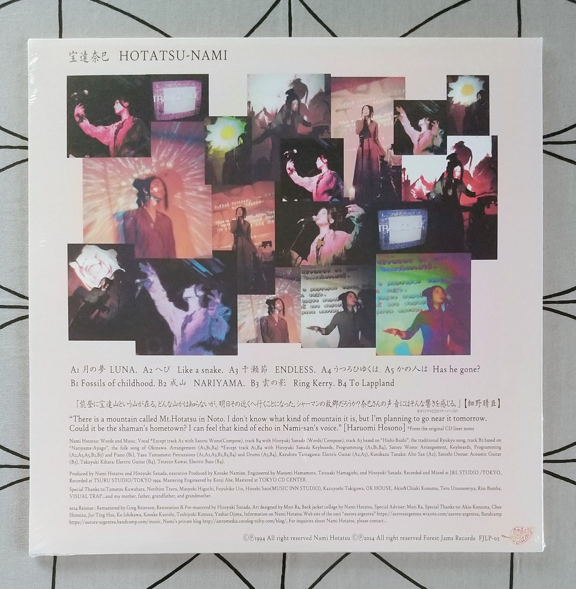 Ultra-Hyper Cosmic Voice : HOTATSU-NAMI | Nami Hotatsu | aurora