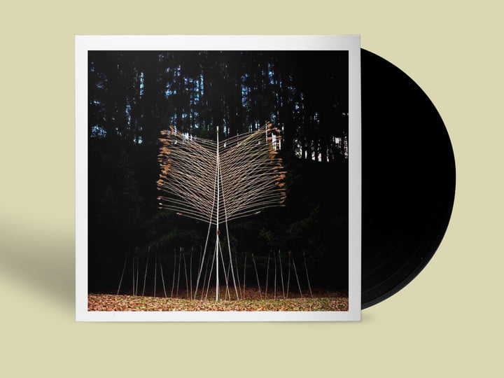 Tarzanland | Daisuke Hinata | WRWTFWW Records