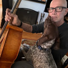 Alan Gould thumbnail
