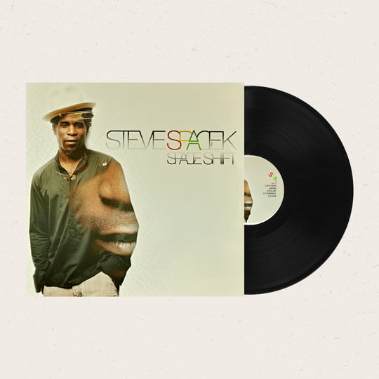 Steve Spacek – Space Shift – 2 x Vinyl (LP), 2005 [r874648