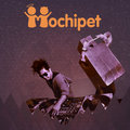 Mochipet photo