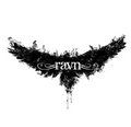 Ravn — Photo