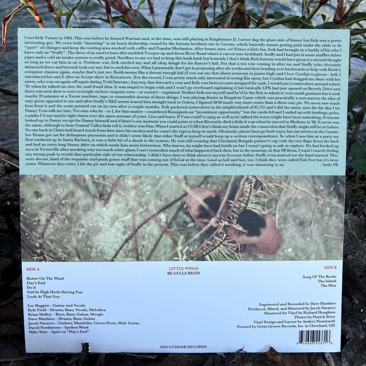 BUTTER FIELD Early Autumn CD 【公式通販】