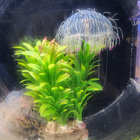 Stream Palette 5 -CHATTING- | Diverse System