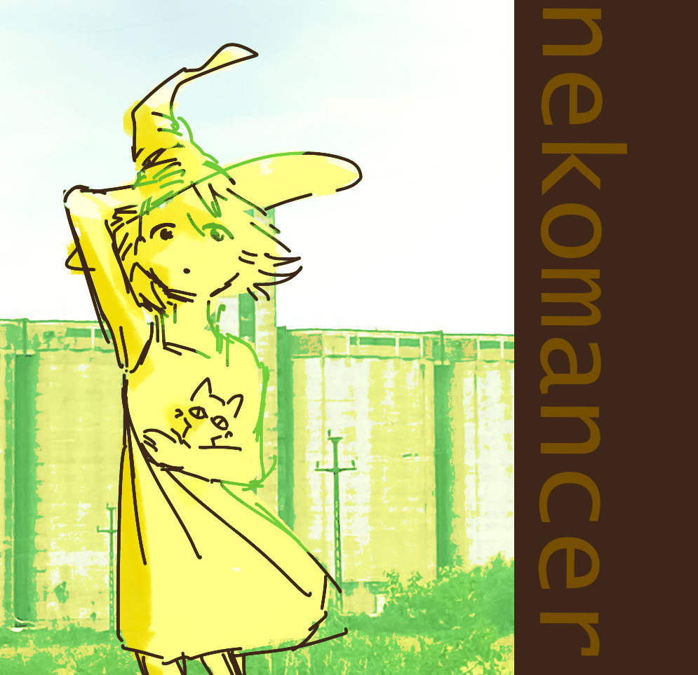 nekomancer | nekocatcher762