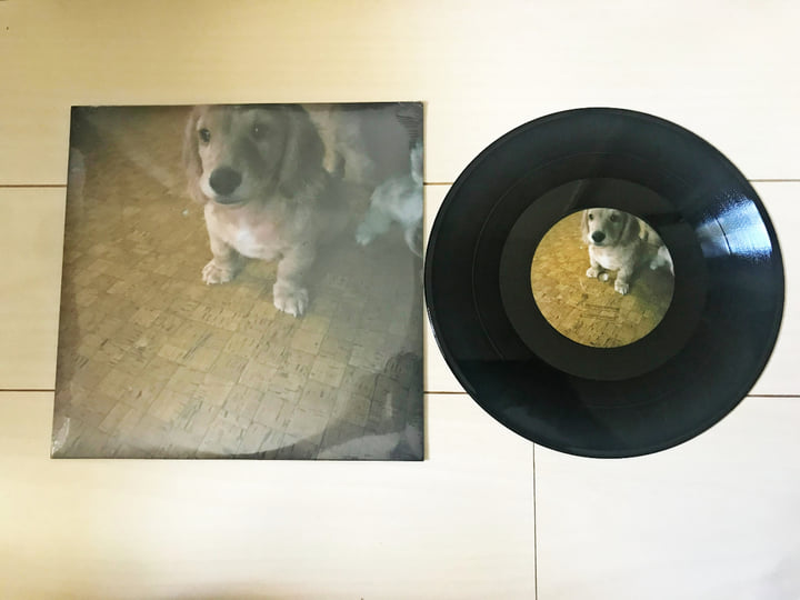 Dog In The Evening | 夕方の犬(U ・ｪ・)