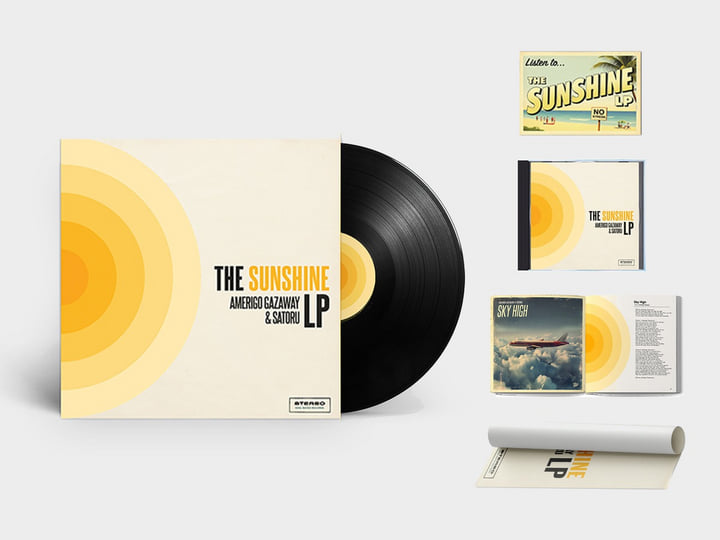 Skyzoo In Celebration Of Us 2LP レコード IN CELEBRATION OF US 