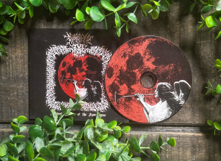 Ancient Hymns of Apocalypse | Marrow of Man | Fiadh Productions