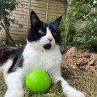 Cobham_5 thumbnail