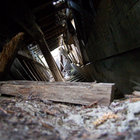 lazymonkey thumbnail