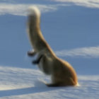 naïa thumbnail