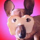 doughggo thumbnail