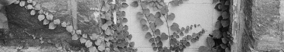 figure eight — Photo