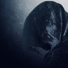 Justin/Dissolvi thumbnail