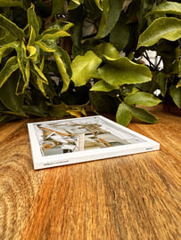CD with Cardboard Gatefold Digipak, image 3