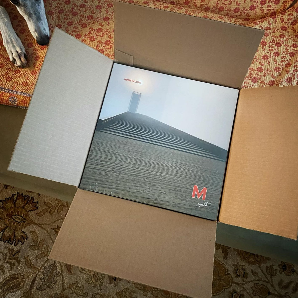 Mushkat HOME RECORD (EP) | mushkat