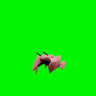 palipalipali thumbnail