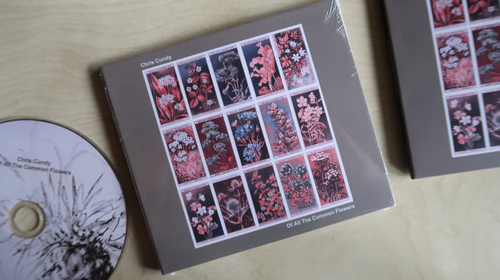 Of All The Common Flowers | CHRIS CUNDY | Chris Cundy